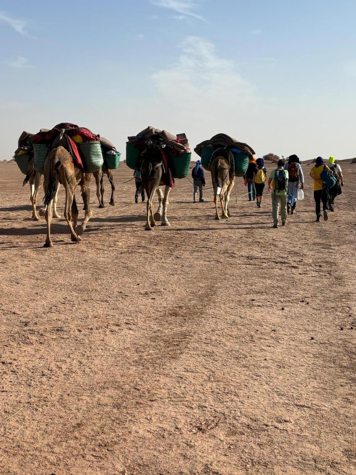 Jardin Du Desert M'Hamid Exterior foto